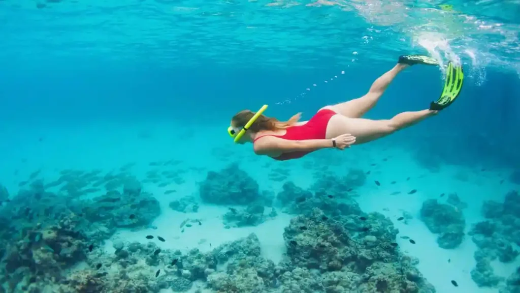 Bahamas charter activities